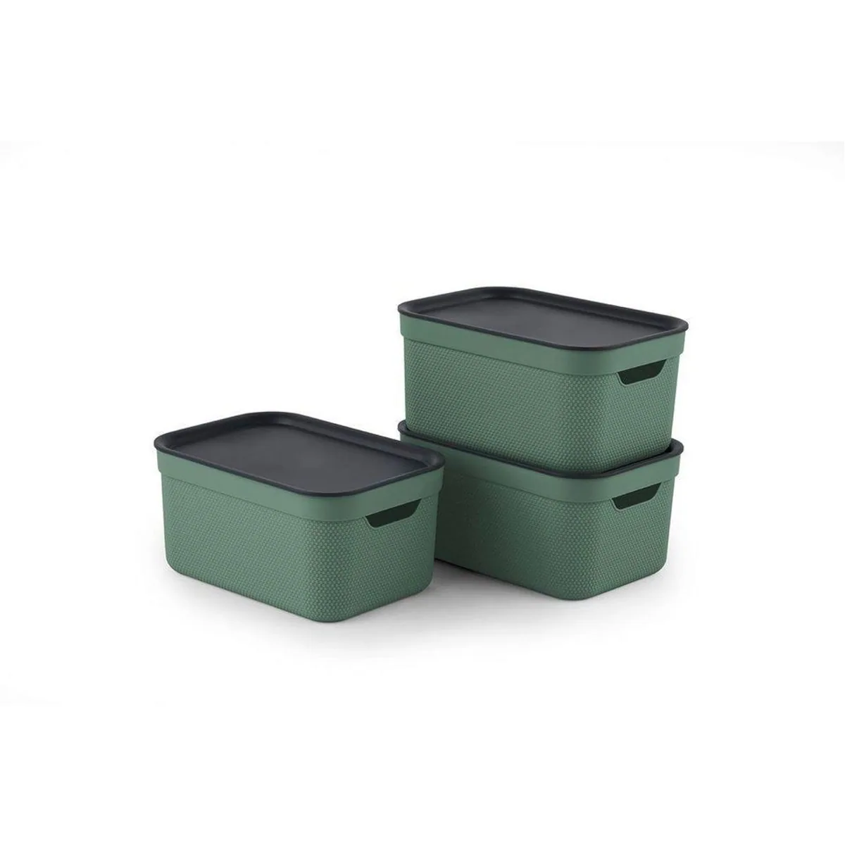 Rotho Jive Aufbewahrungsbox, stapelbar, vielseitig einsetzbar, 5 l — 3er-Set