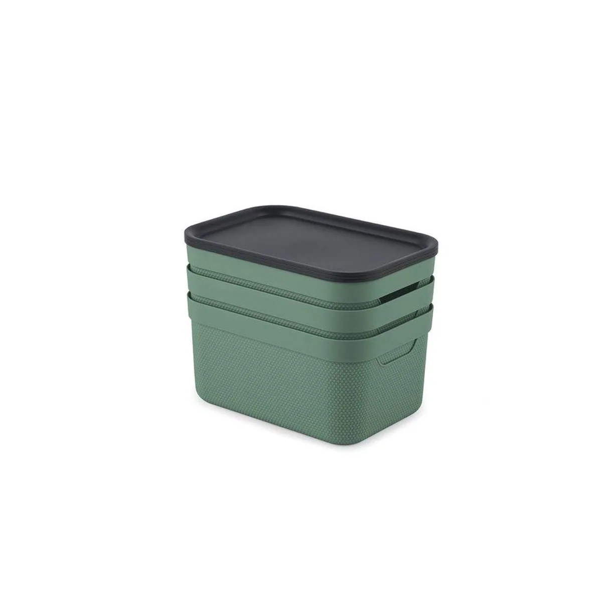 Rotho Jive Aufbewahrungsbox, stapelbar, vielseitig einsetzbar, 5 l — 3er-Set 5