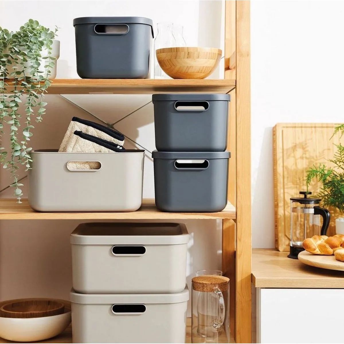 Rotho Albula Light Aufbewahrungsbox, modernes Design, stapelbar, 20 l — 2er-Set 5