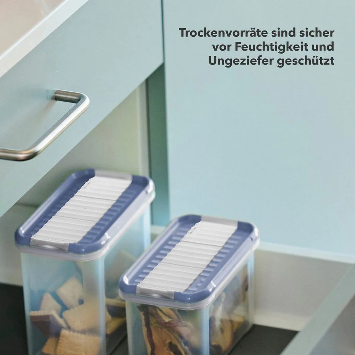 Rotho DOMINO Vorratsdosen Set, 12-teilig mit Streu- und Schüttdeckel – platzsparend, transparent, hygienisch 5
